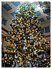 Shawna Huhn Seto > 11dec06
The Marshall Fields Great Tree (even though technically it's Macy's now)in the famous Walnut Room, Chicago