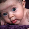 Shawna Huhn Seto > 25jun08

Amelia 12 weeks old today!